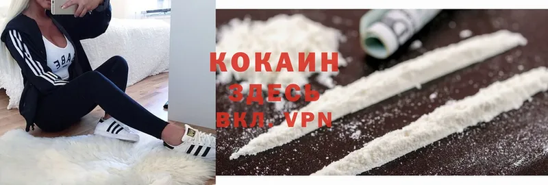 Cocaine 99%  Луга 